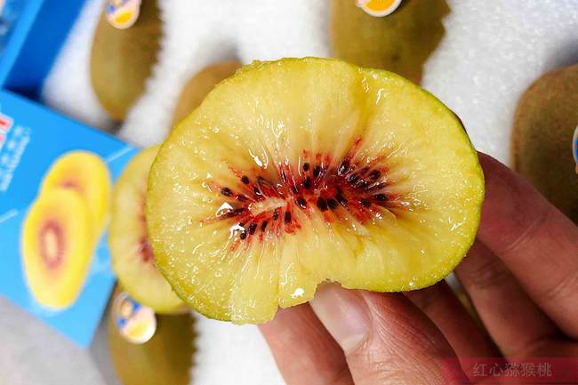 东红猕猴桃 西藏察隅县主要种植的“东红猕猴桃”、“金隅猕猴桃”两个品种