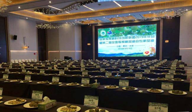 中国猕猴桃产业技术创新战略联盟 我国猕猴桃产业技术创新战略的三大国家级联盟