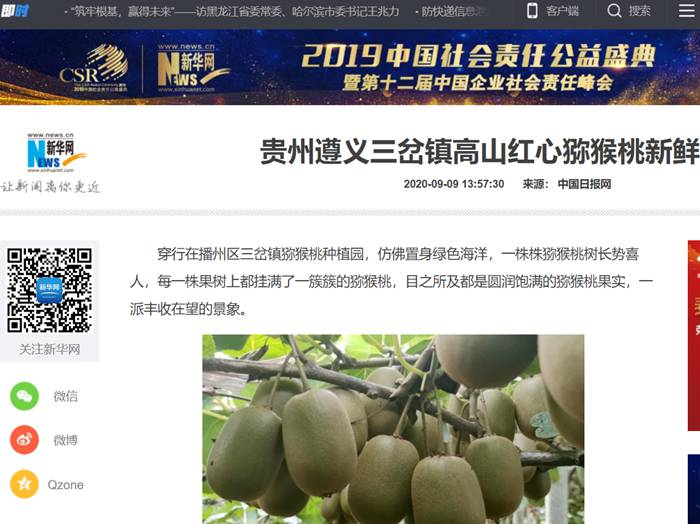 媒体报道红心猕猴桃