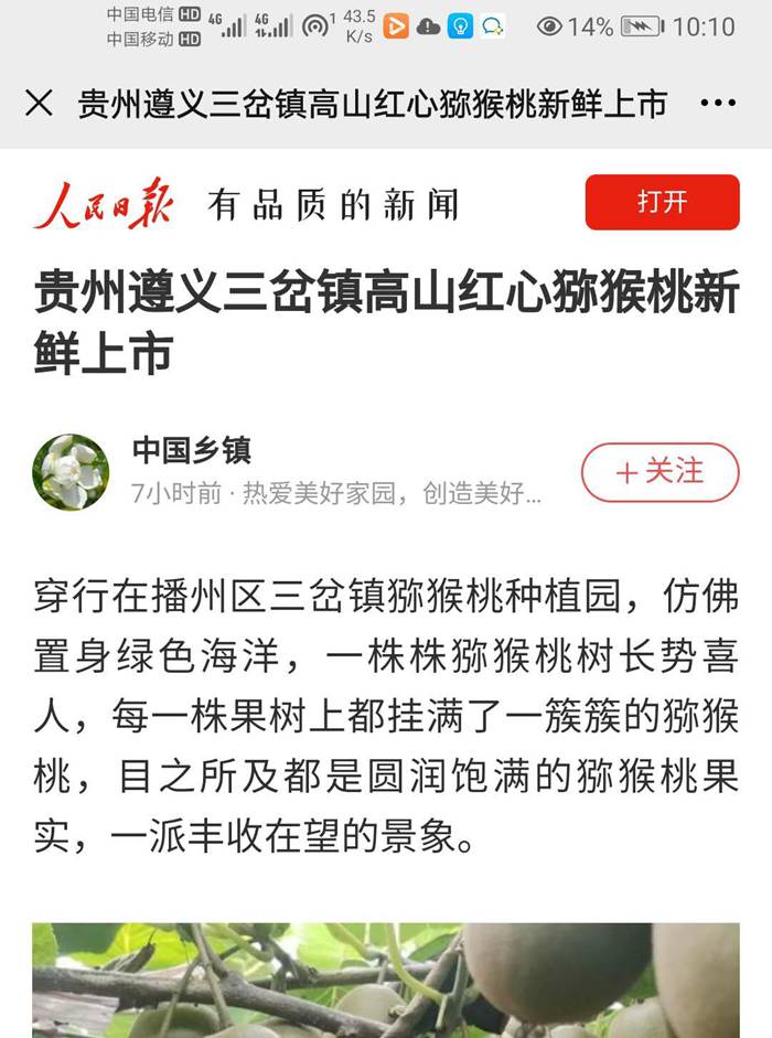媒体报道遵义播宏猕猴桃