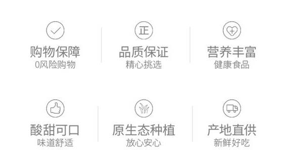 媒体报道遵义播宏猕猴桃