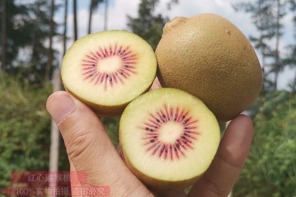 猕猴桃品种口感排名哪个品种最好吃