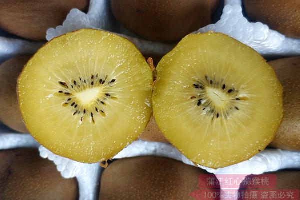 新西兰培育出黄金奇异果新品种 魅力金果