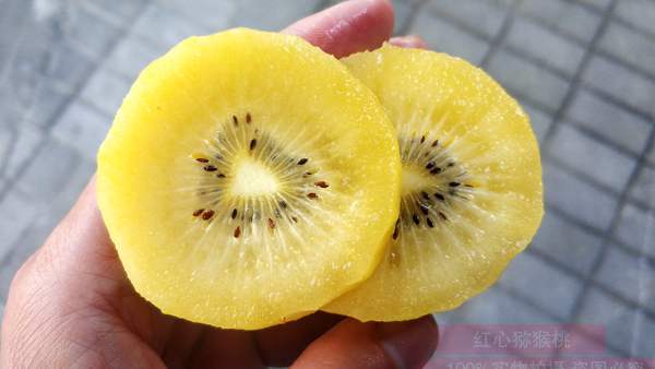 新西兰佳沛魅力金果是黄心猕猴桃品种什么时候几月吃