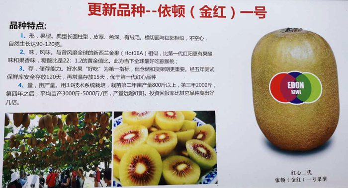 供应链管理模式引进上海种都建成红心猕猴桃新品种