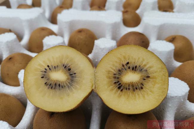 我国猕猴桃产业面临的困难和机会 挑战和机遇并存