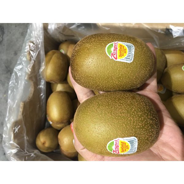 阳光金果