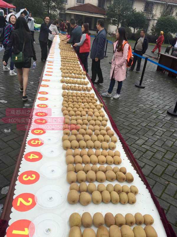 猕猴桃 打收入贵州遵义认养高山红心猕猴桃种植基地的总经理的猕猴桃基地