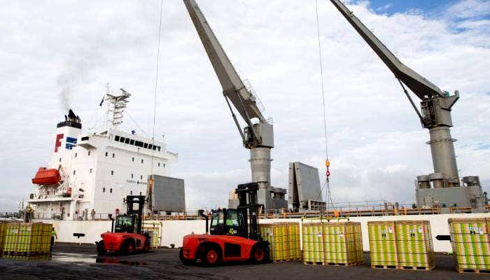 2023年佳沛奇异果再迎北半球收获季！——意大利产阳光金果抢“鲜”抵沪