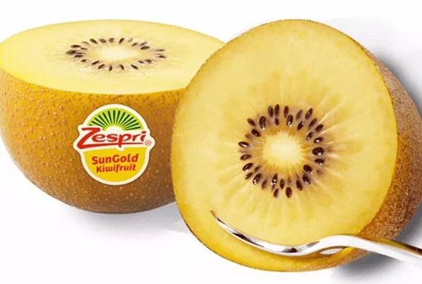 最好吃最甜的猕猴桃品种介绍已广泛栽培