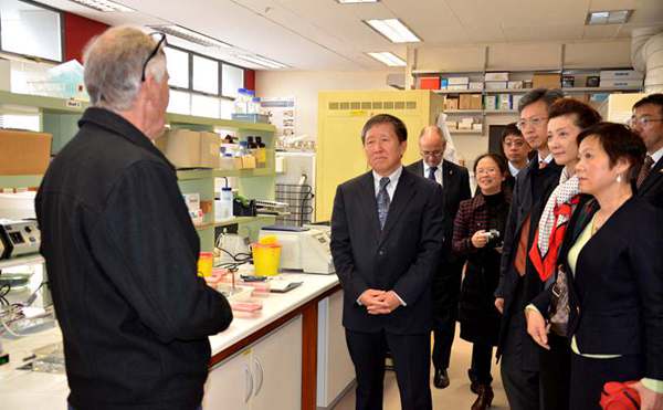 当今世界猕猴桃的发展现状与趋势