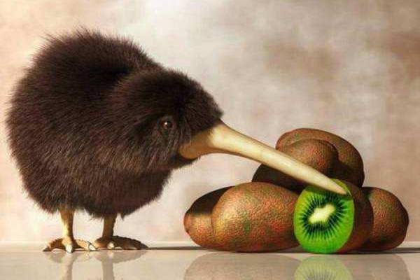 听专家给你介绍猕猴桃和奇异果的差别区别，消费者如何选择