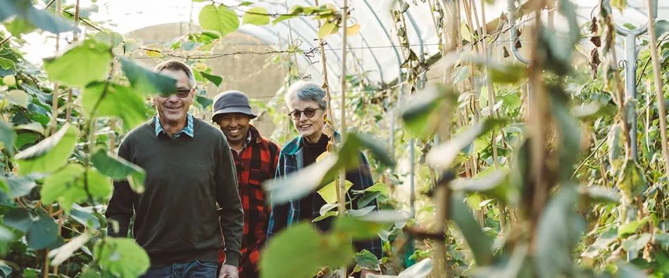 新西兰猕猴桃种植业曾濒临破产，如今爆赚180亿！没人要的“土特产”，凭啥高攀不起？