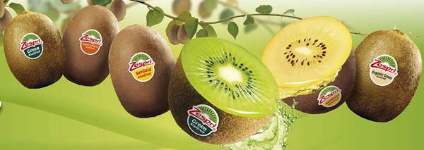 当今世界猕猴桃的发展现状与趋势