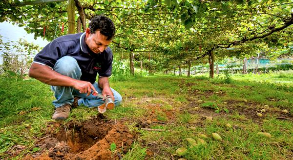 iFresh亚果会团队到新西兰佳沛访问 参观阳光金果果园