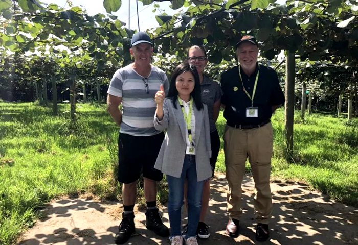 iFresh亚果会团队到新西兰佳沛访问 参观阳光金果果园