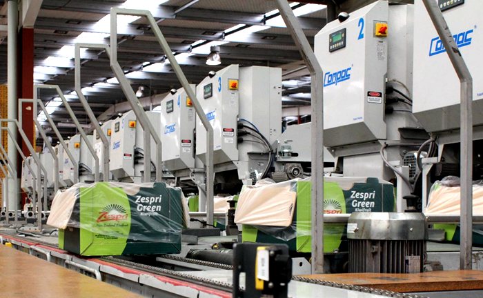 四川成都都江堰市猕猴桃协会智能分拣包装生产线