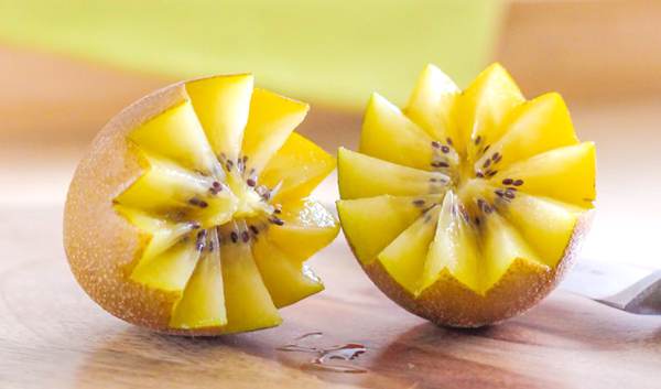 了解一下新西兰的猕猴桃采收和“早采”