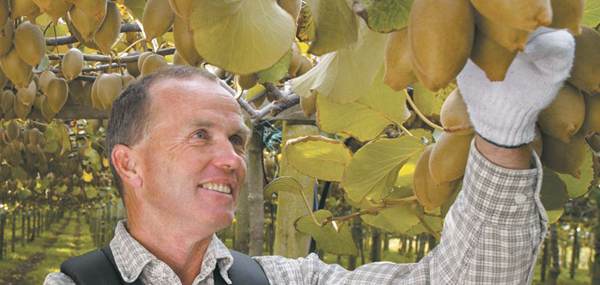 iFresh亚果会团队到新西兰佳沛访问 参观阳光金果果园