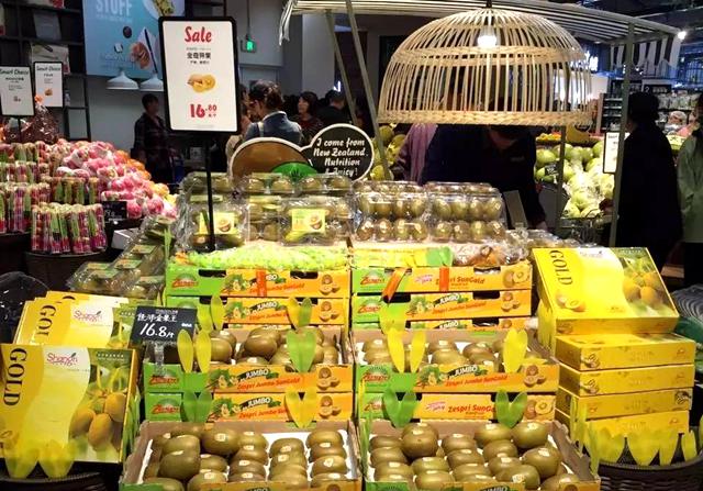 SUNGOLD金奇异果 阳光金果G3猕猴桃国内非法种植面积已经接近一万公顷