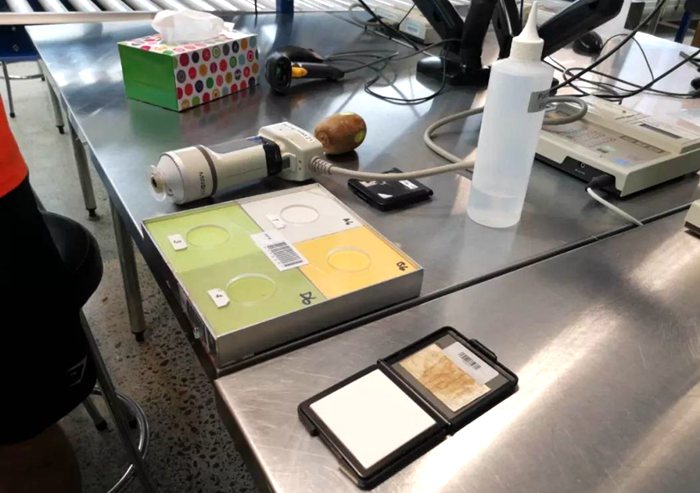 iFresh亚果会团队到新西兰佳沛访问 参观阳光金果果园