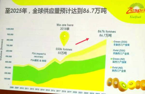 iFresh亚果会团队到新西兰佳沛访问 参观阳光金果果园