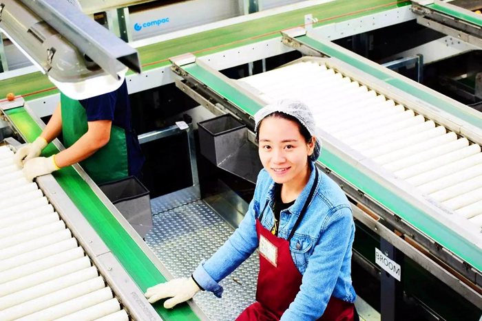 新西兰旅游时候在猕猴桃包装厂的工作