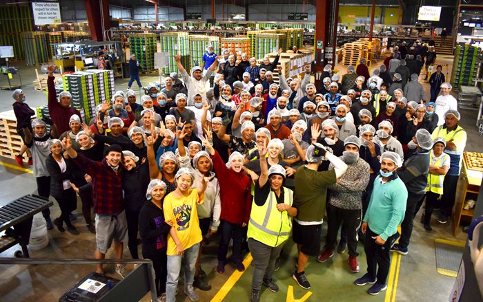 新西兰猕猴桃种植业曾濒临破产，如今爆赚180亿！没人要的“土特产”，凭啥高攀不起？