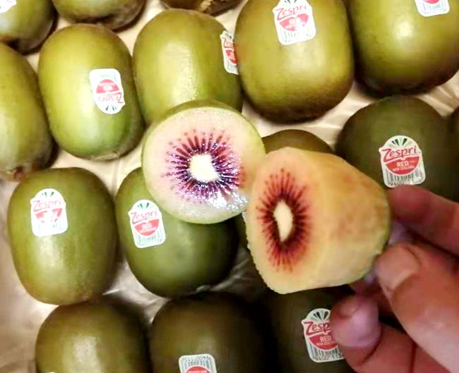 RubyRed红肉奇异果将成为佳沛主力品种