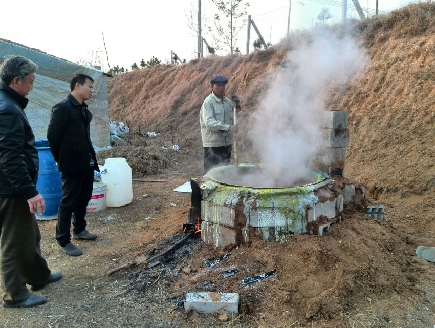 红心猕猴桃采摘