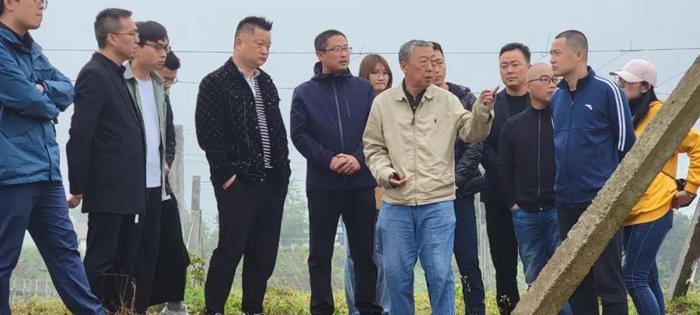 成都齐民农业科技有限公司李勇 四川成都齐民农业科技有限公司如何打造高端国产猕猴桃品牌?