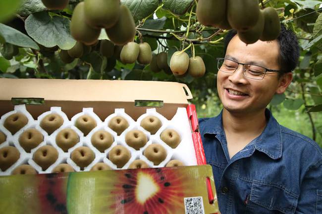 猕猴桃杨刚 2024年度猕匠(杨刚讲猕猴桃)微信会员群招生简章