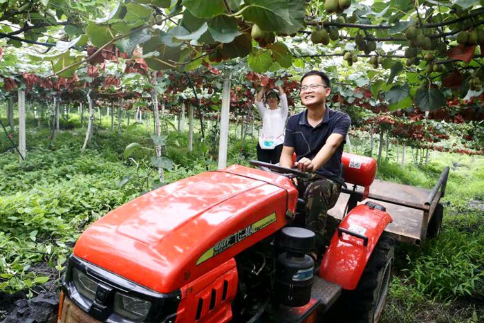 猕猴桃杨刚 2024年度猕匠(杨刚讲猕猴桃)微信会员群招生简章