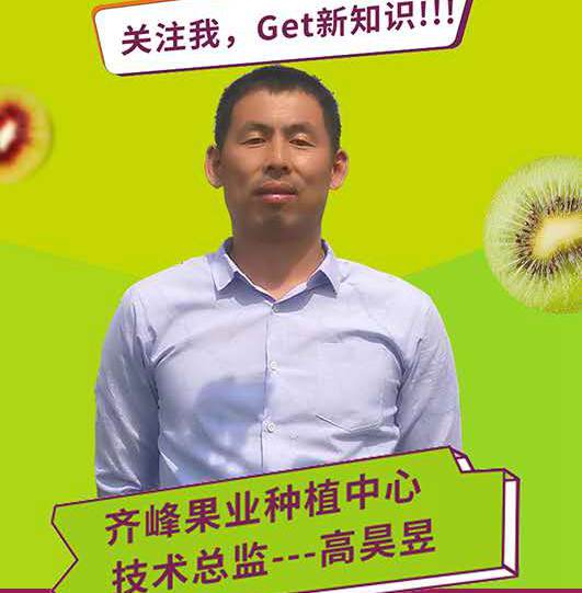 “阳光金果”大卖之后 佳沛诉高昊昱案后续