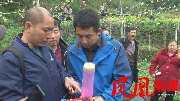 高昊煜 高昊煜老师以实验为依据探讨猕猴桃授粉技术