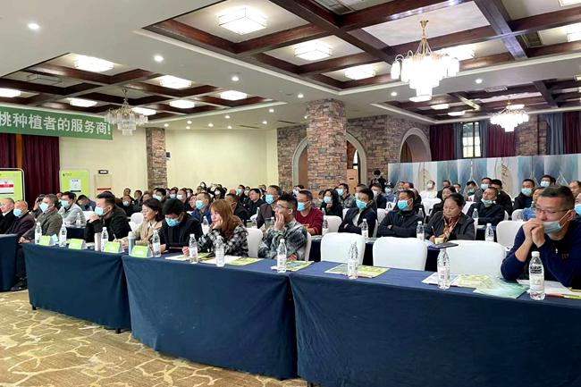 成都雅米佳生物科技是一家农业服务平台和猕猴桃产业咨询公司