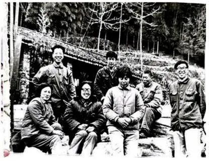 中国猕猴桃的“觉醒年代”