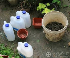 各种有机肥沤制与配肥施放技巧