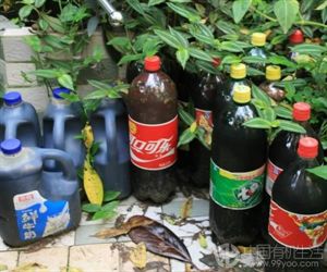 各种有机肥沤制与配肥施放技巧