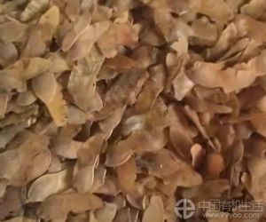 各种有机肥沤制与配肥施放技巧