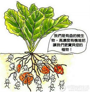 各种有机肥沤制与配肥施放技巧