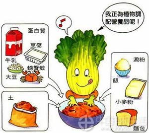 各种有机肥沤制与配肥施放技巧